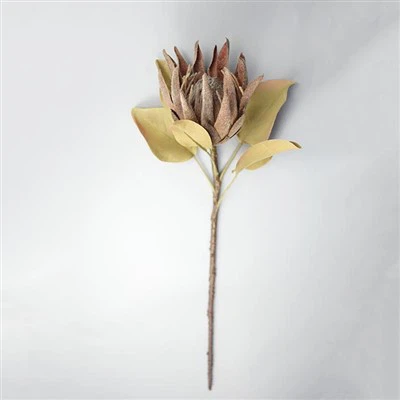 Künstliche getrocknete tropische Blume