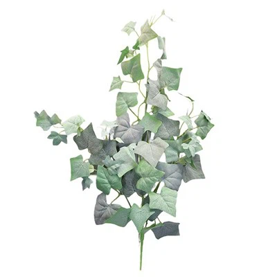 Künstliche Efeureben