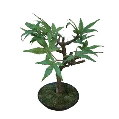 Künstliche japanische Bonsai