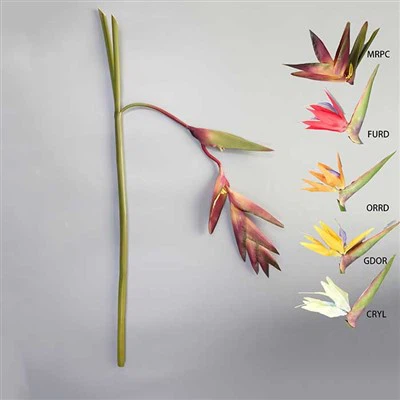 Tropische Blume mit natürlichem Touch