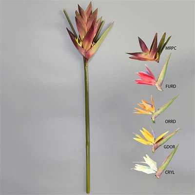 Tropische Blumenstiele